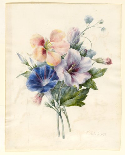 Bloemen Inclusief Blauwe Winde, 1836 door V. Medard